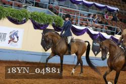 18YN_04881 thumbnail