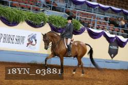 18YN_03881 thumbnail