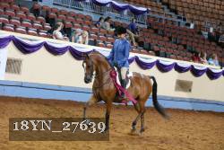 18YN_27639 thumbnail