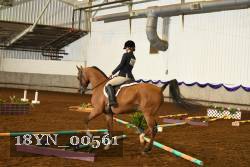 18YN_00561 thumbnail