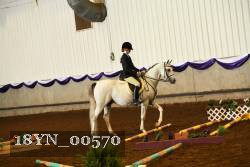 18YN_00570 thumbnail