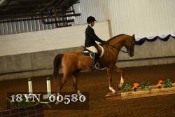 18YN_00580 thumbnail