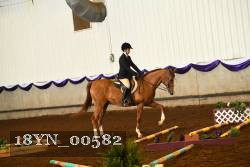 18YN_00582 thumbnail