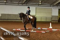 18YN_03285 thumbnail