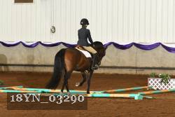 18YN_03290 thumbnail