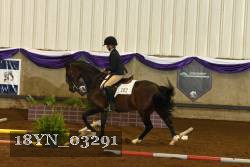 18YN_03291 thumbnail