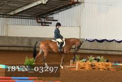 18YN_03297 thumbnail