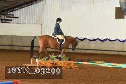 18YN_03299 thumbnail