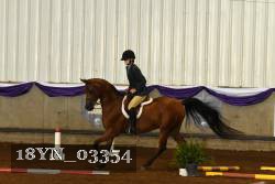 18YN_03354 thumbnail