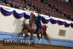 18YN_11597 thumbnail