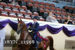 18YN_11598 thumbnail