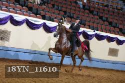 18YN_11610 thumbnail