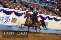 18YN_11611 thumbnail