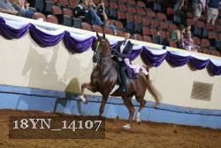 18YN_14107 thumbnail