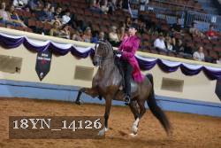 18YN_14126 thumbnail