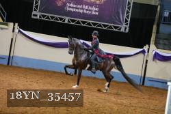 18YN_35457 thumbnail
