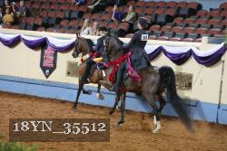 18YN_35512 thumbnail