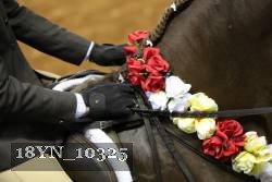 18YN_10325 thumbnail