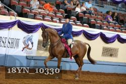 18YN_10330 thumbnail