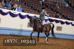 18YN_10345 thumbnail