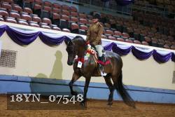 18YN_07548 thumbnail