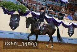 18YN_34003 thumbnail