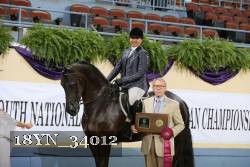 18YN_34012 thumbnail