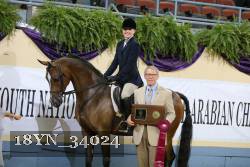 18YN_34024 thumbnail