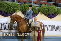 18YN_34027 thumbnail
