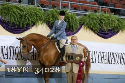 18YN_34028 thumbnail