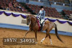 18YN_34035 thumbnail