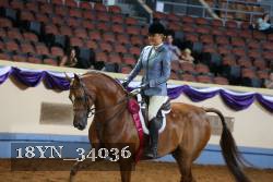 18YN_34036 thumbnail