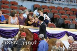 18YN_34097 thumbnail