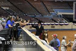 18YN_34105 thumbnail