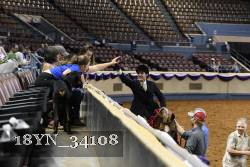 18YN_34108 thumbnail