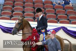 18YN_34110 thumbnail