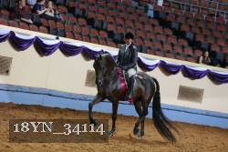 18YN_34114 thumbnail