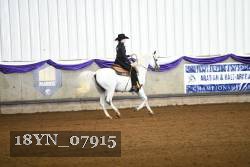 18YN_07915 thumbnail