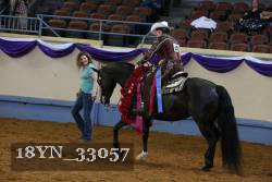18YN_33057 thumbnail