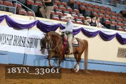 18YN_33061 thumbnail