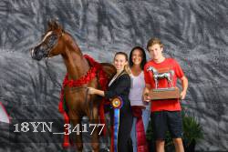 18YN_34177 thumbnail