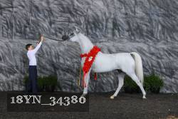 18YN_34380 thumbnail
