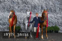 18YN_36114 thumbnail