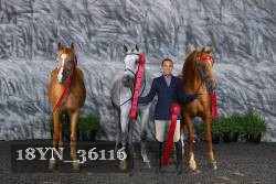 18YN_36116 thumbnail