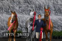 18YN_36123 thumbnail