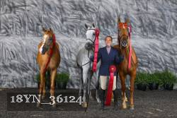 18YN_36124 thumbnail