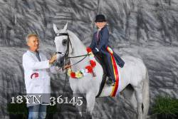 18YN_36145 thumbnail