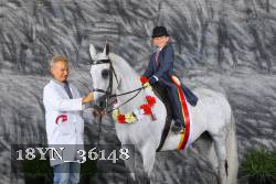 18YN_36148 thumbnail