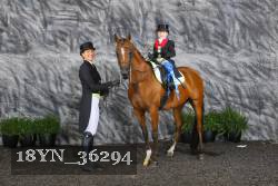 18YN_36294 thumbnail