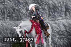 18YN_37297 thumbnail